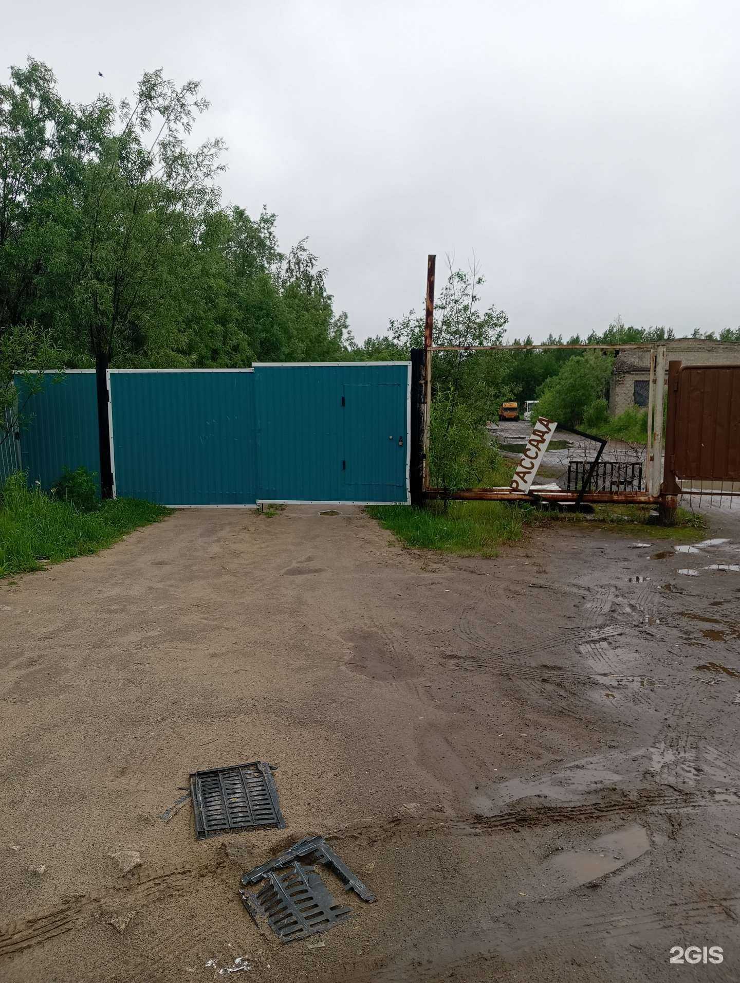 Отзывы на компанию Рассада Нижневартовск в г. Нижневартовск c фото