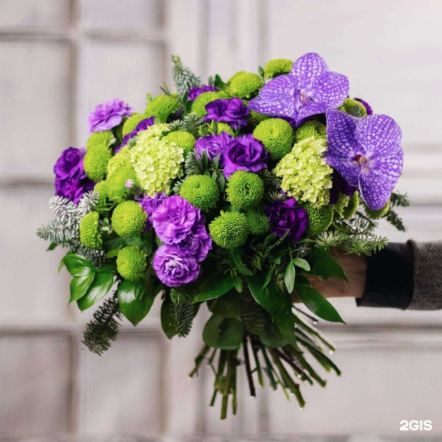 Отзывы на компанию Кактус в Сургуте c фото