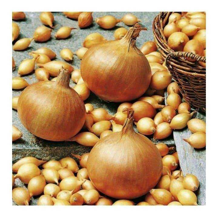 Отзывы на компанию Сады Приморья в Уссурийске c фото