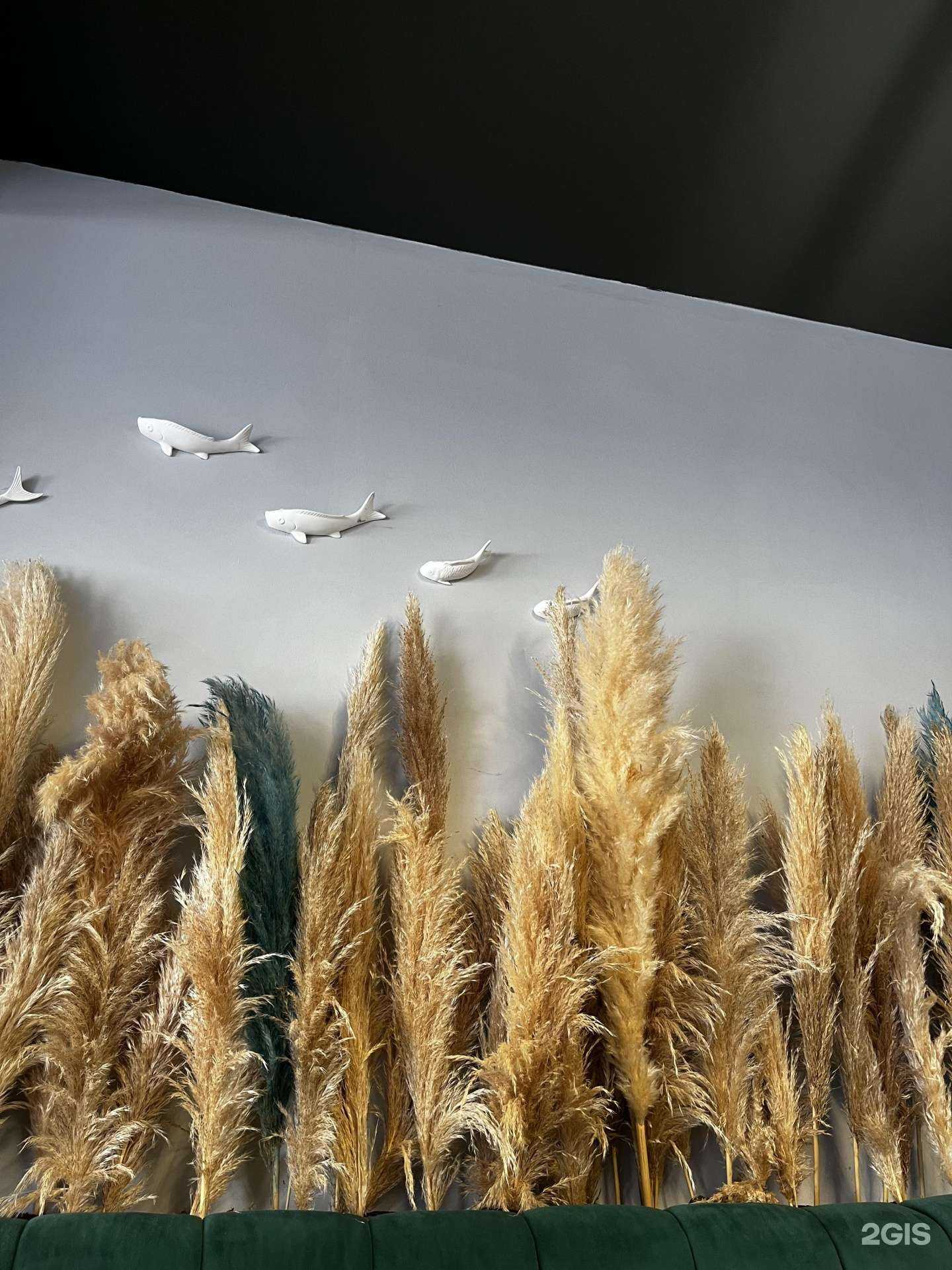 Отзывы на компанию Мидийная n1 в Сочи c фото