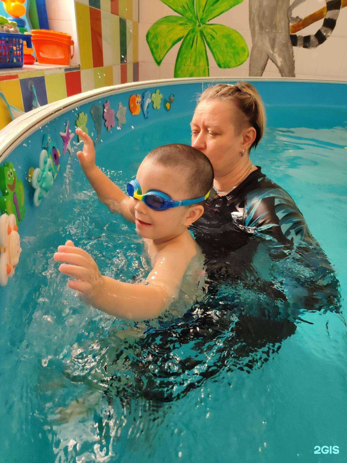 Отзывы на компанию Мадагаскар в Омске c фото