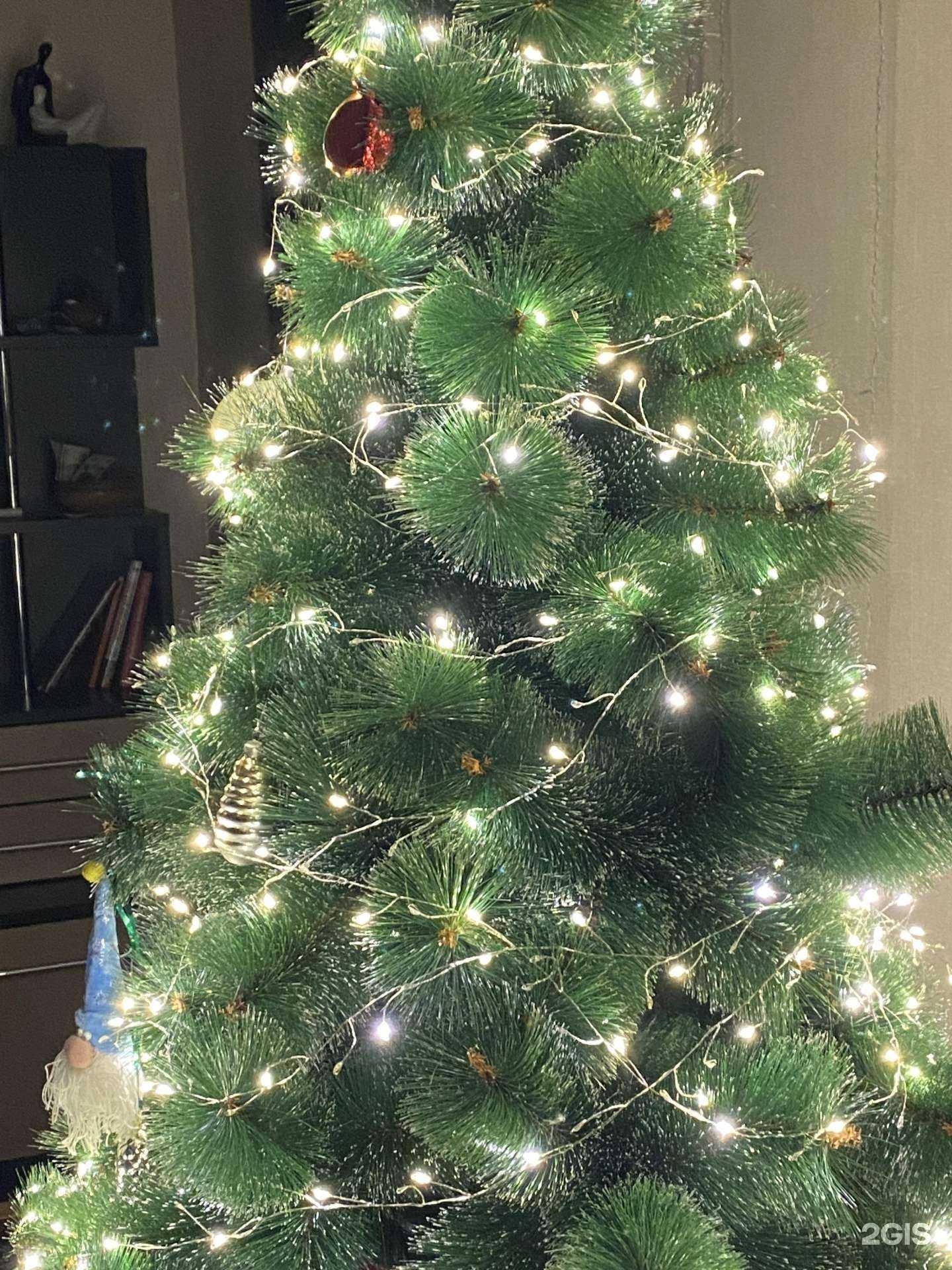 Отзывы на компанию Моя страна чудес в Нижнем Тагиле c фото