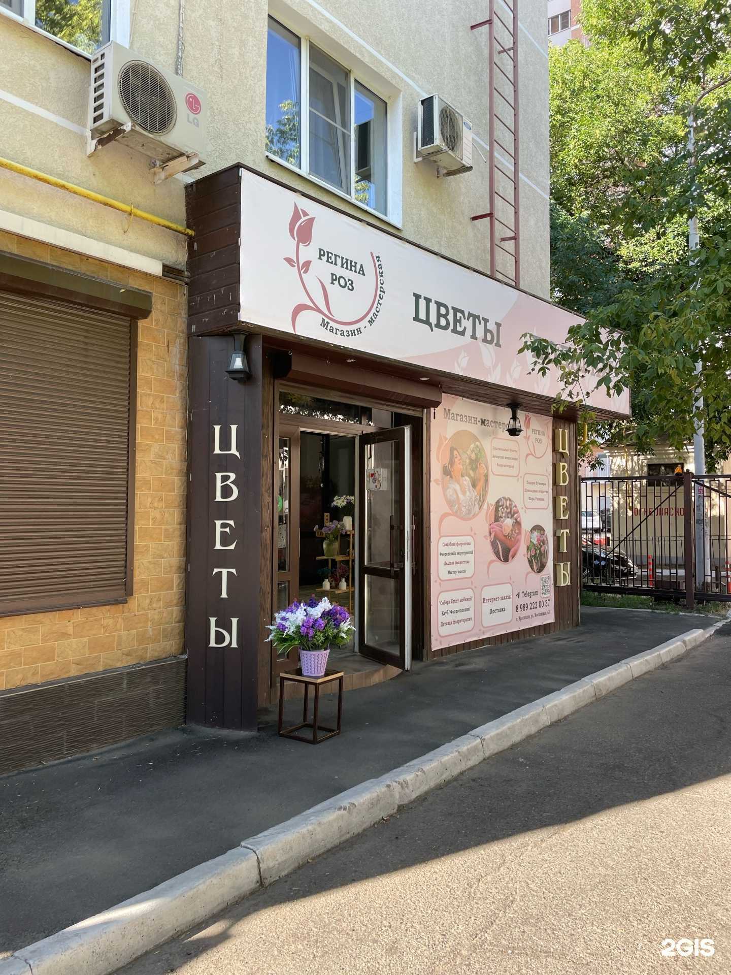 Отзывы на компанию Регина Роз в Краснодаре c фото