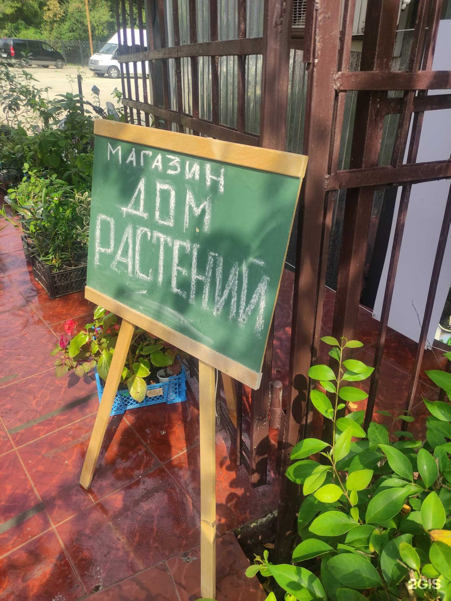 Отзывы на компанию Дом растений в Сочи c фото