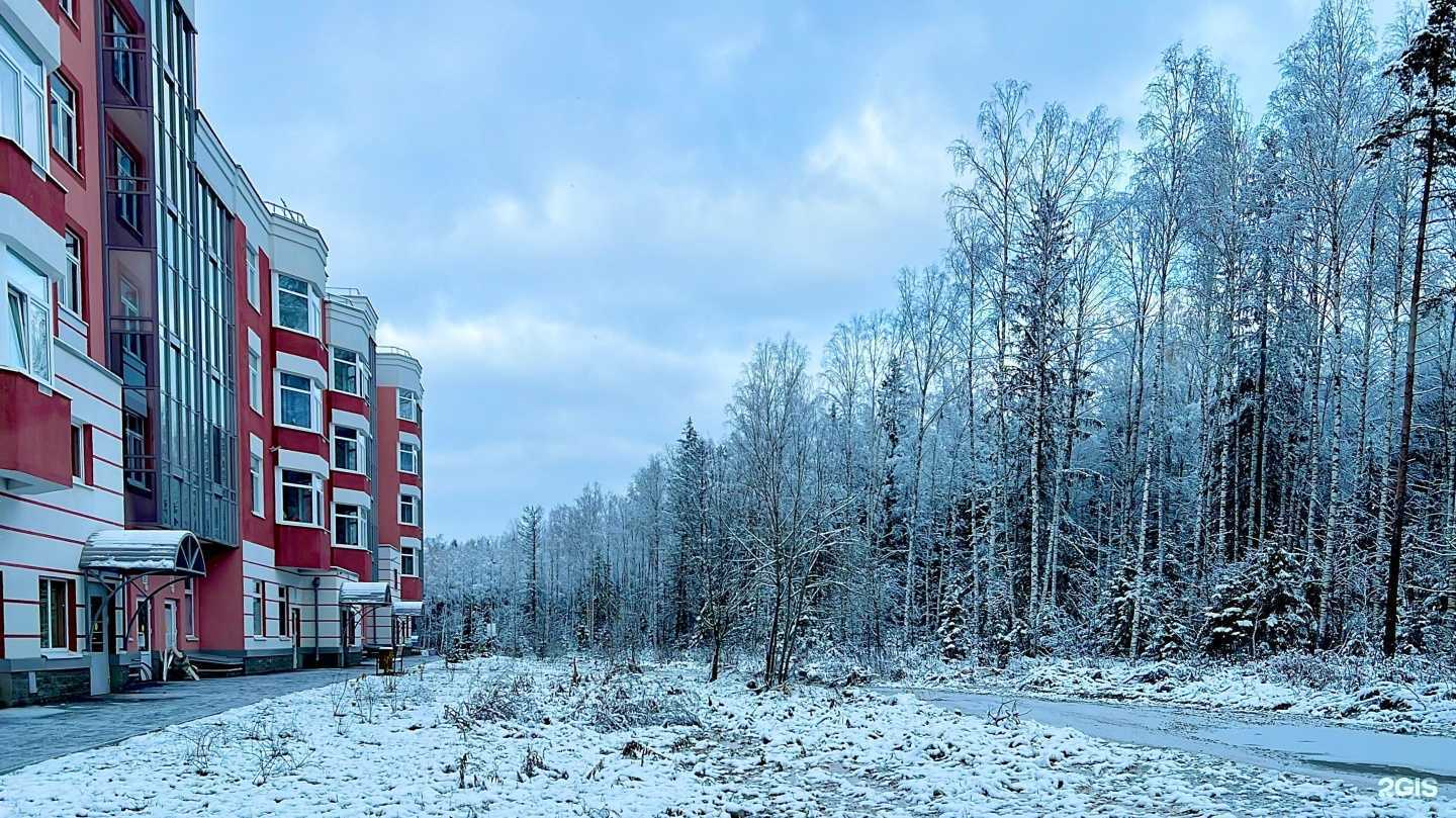 Отзывы на компанию СДЭК в Сертолове c фото - фотография 2 из 2