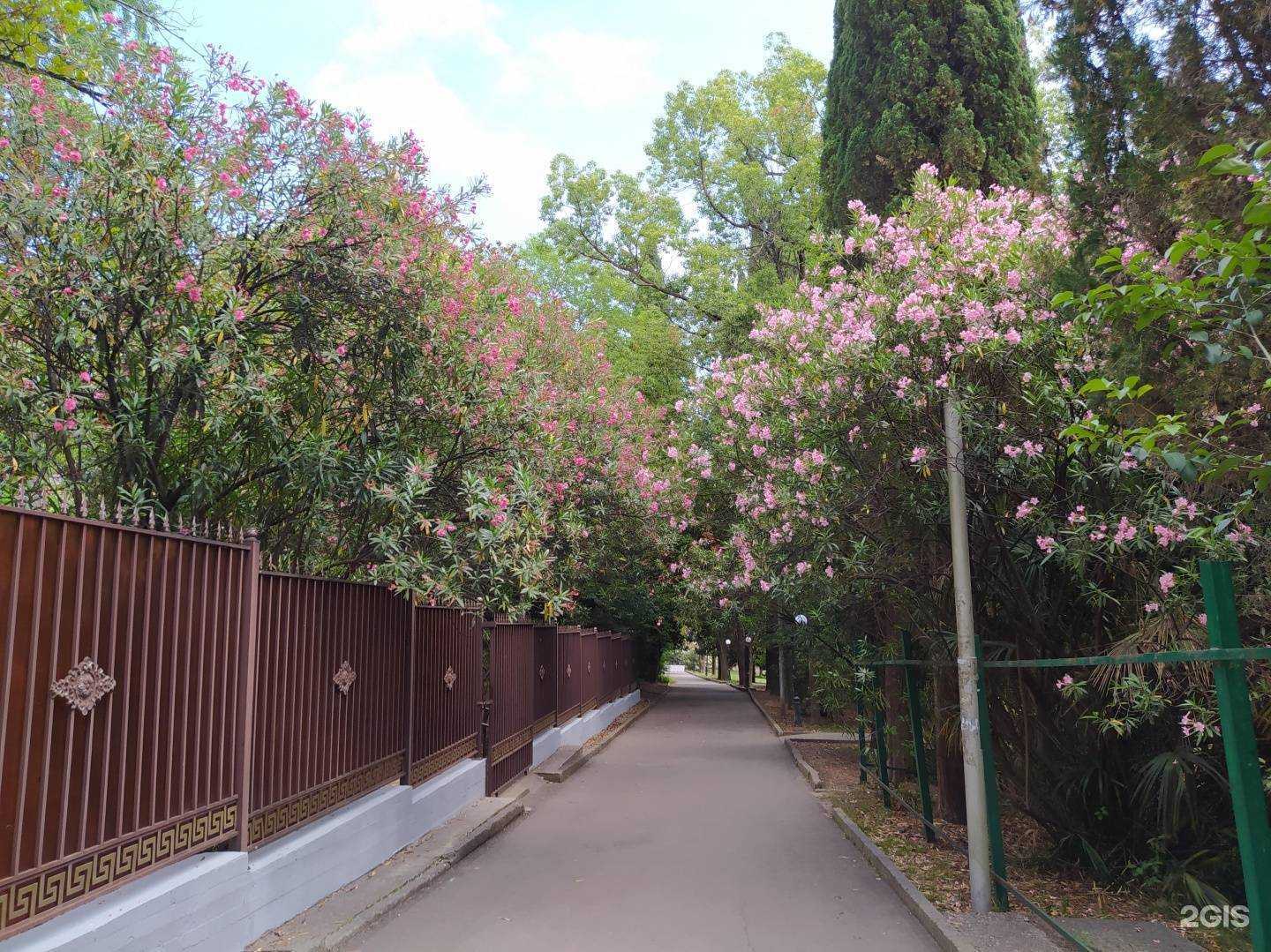 Отзывы на компанию  U-лингва в Сочи c фото - фотография 2 из 2