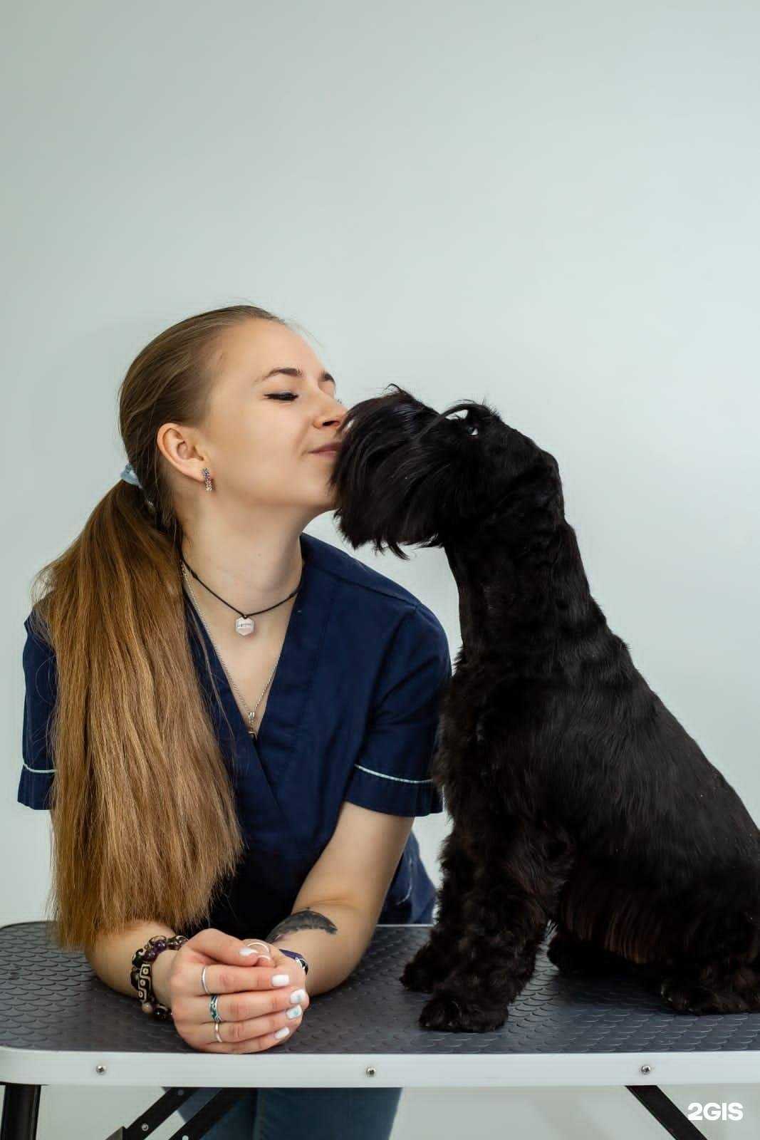 Отзывы на компанию ДогБро в Ставрополе c фото