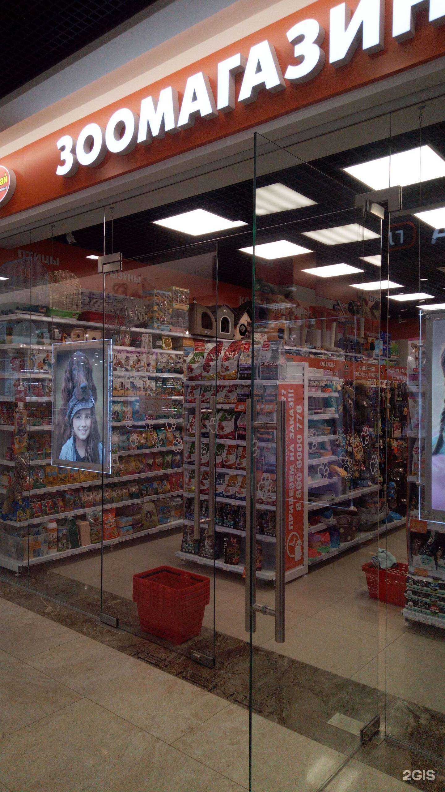 Отзывы на компанию Zooрай в г. Владимир c фото