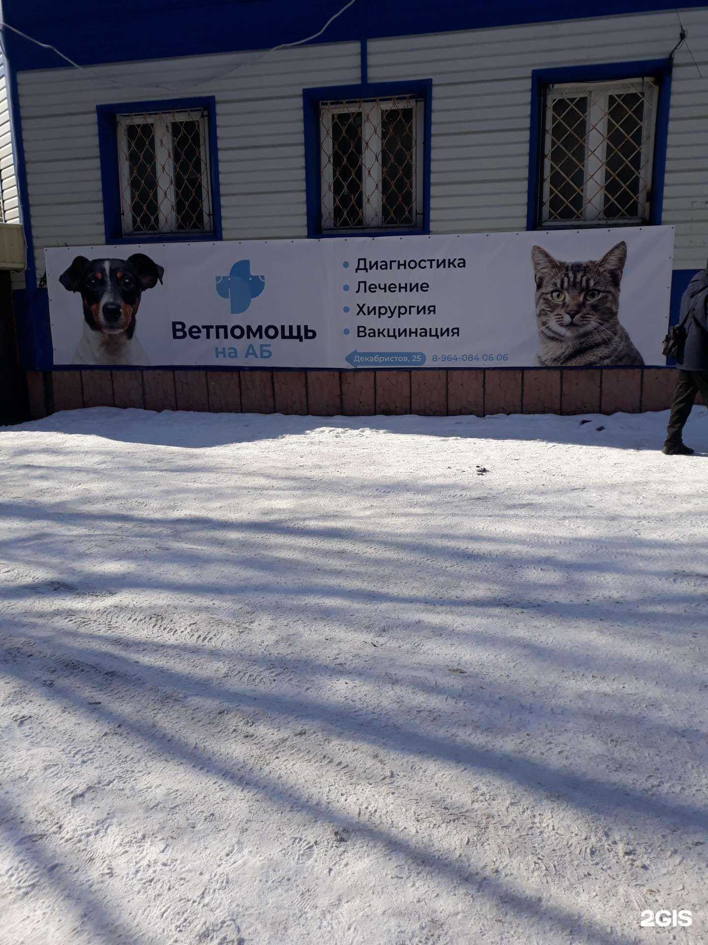 Отзывы на компанию Ветпомощь на АБ в Бийске c фото - фотография 2 из 2