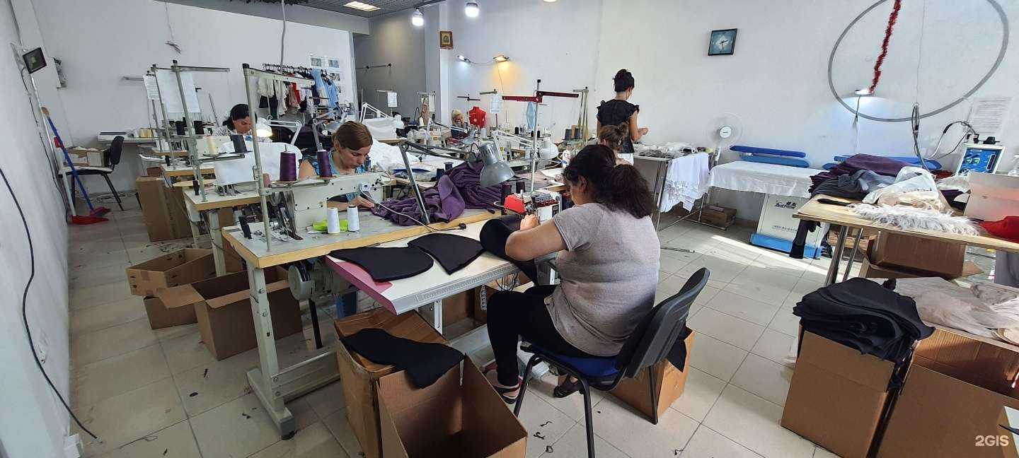 Отзывы на компанию Elen cat в Сочи c фото