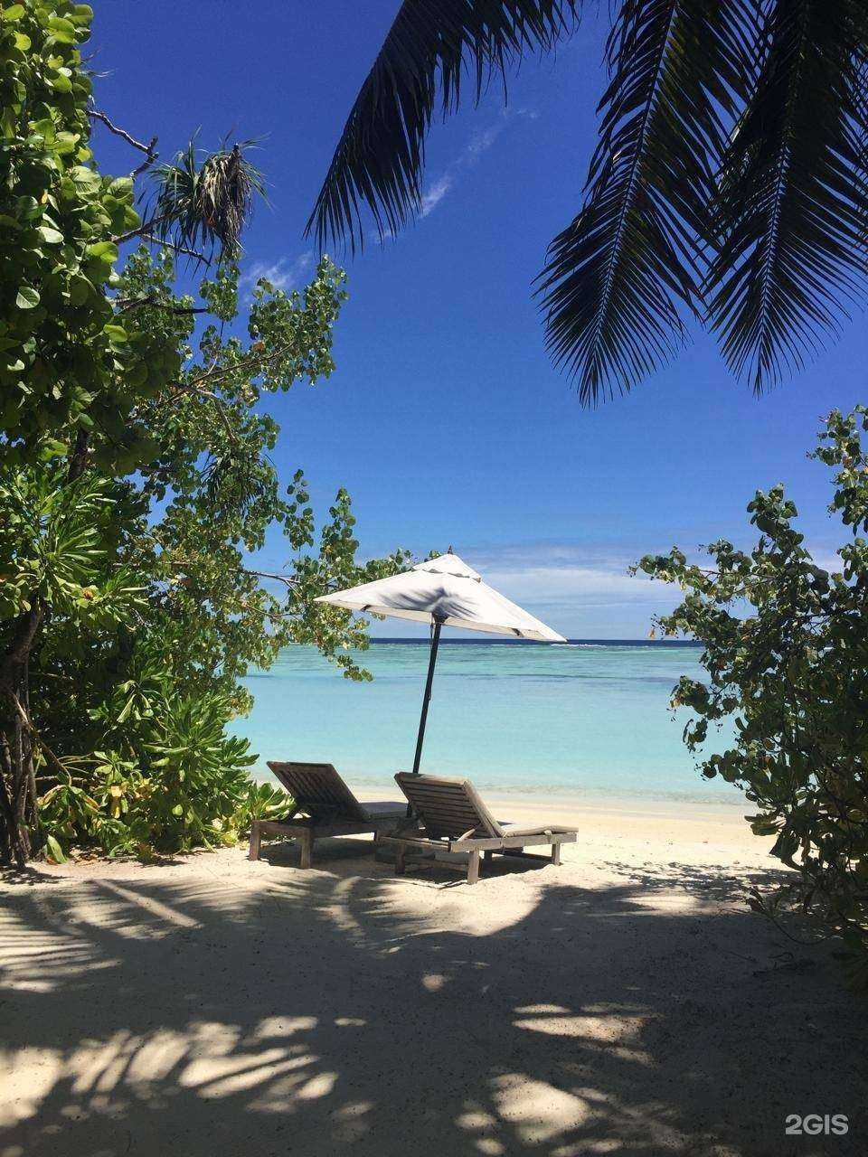 Отзывы на компанию Апис в г. Екатеринбург c фото