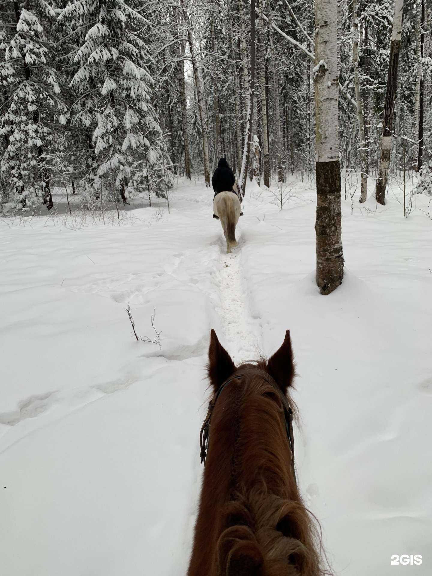 Отзывы на компанию Фаворит в г. Пермь c фото