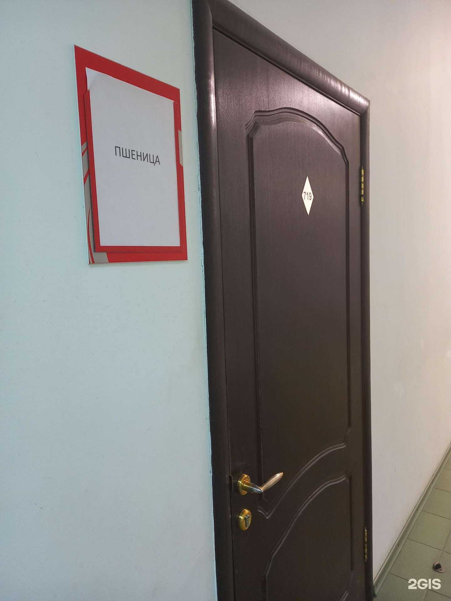 Отзывы на компанию Пшеница в г. Краснодар c фото