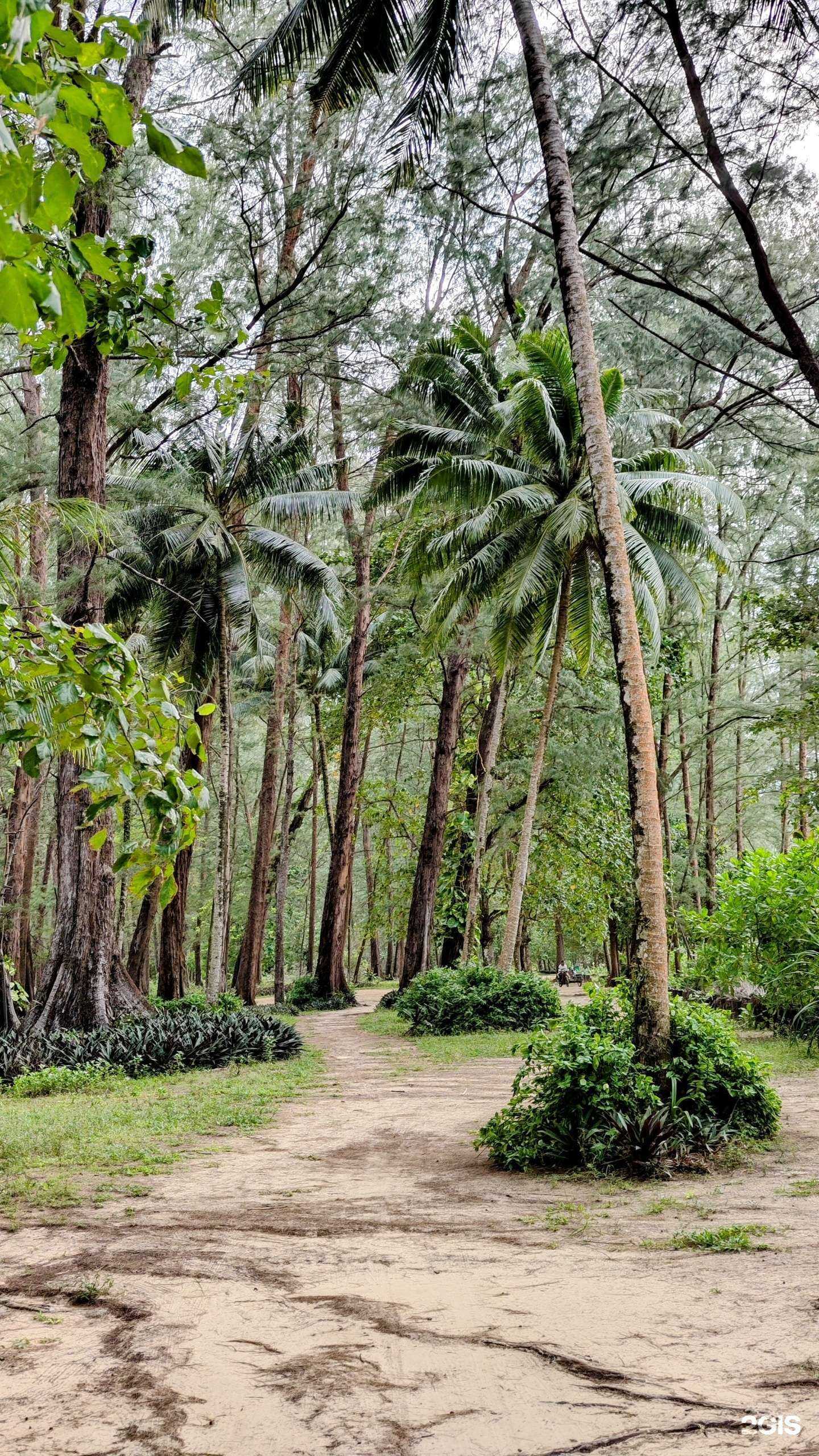 Отзывы на компанию Пегас туристик в г. Красноярск c фото