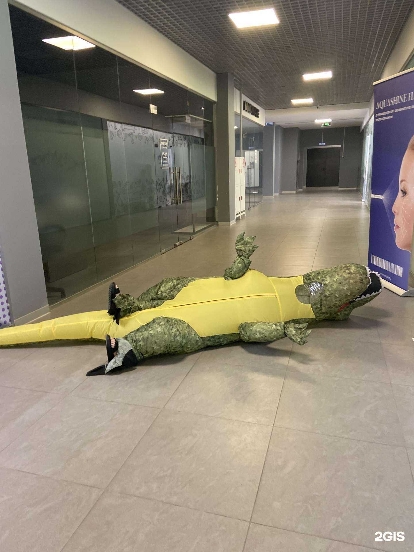 Отзывы на компанию Алгоритмика в г. Челябинск c фото