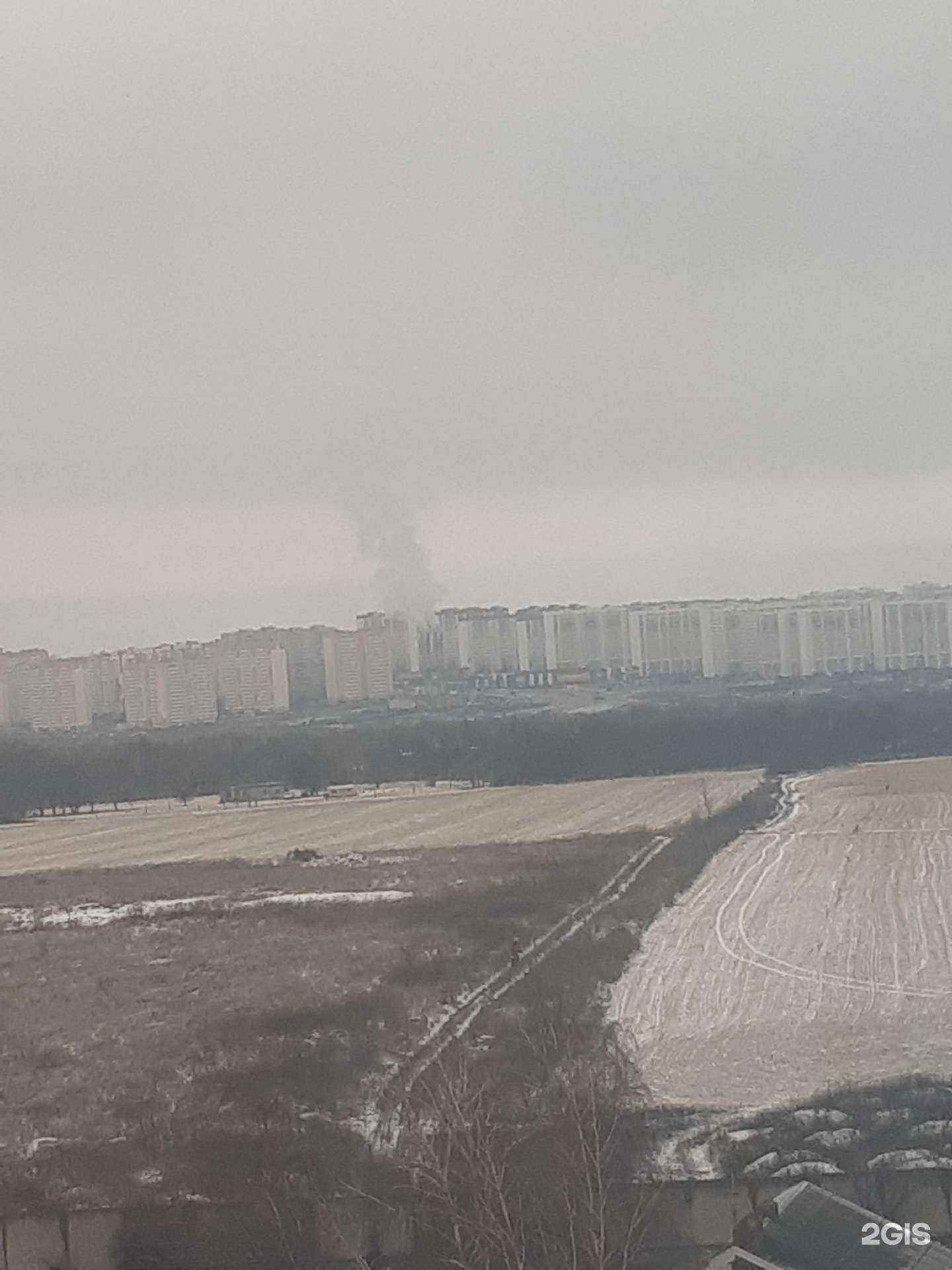 Отзывы на компанию Зоомагазин в Ростове-на-Дону c фото - фотография 2 из 2