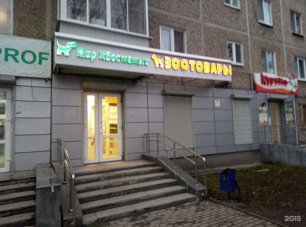 Отзывы на компанию Мир хвостатых в г. Екатеринбург c фото