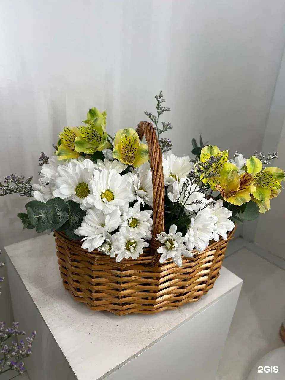 Отзывы на компанию Малена в г. Владивосток c фото