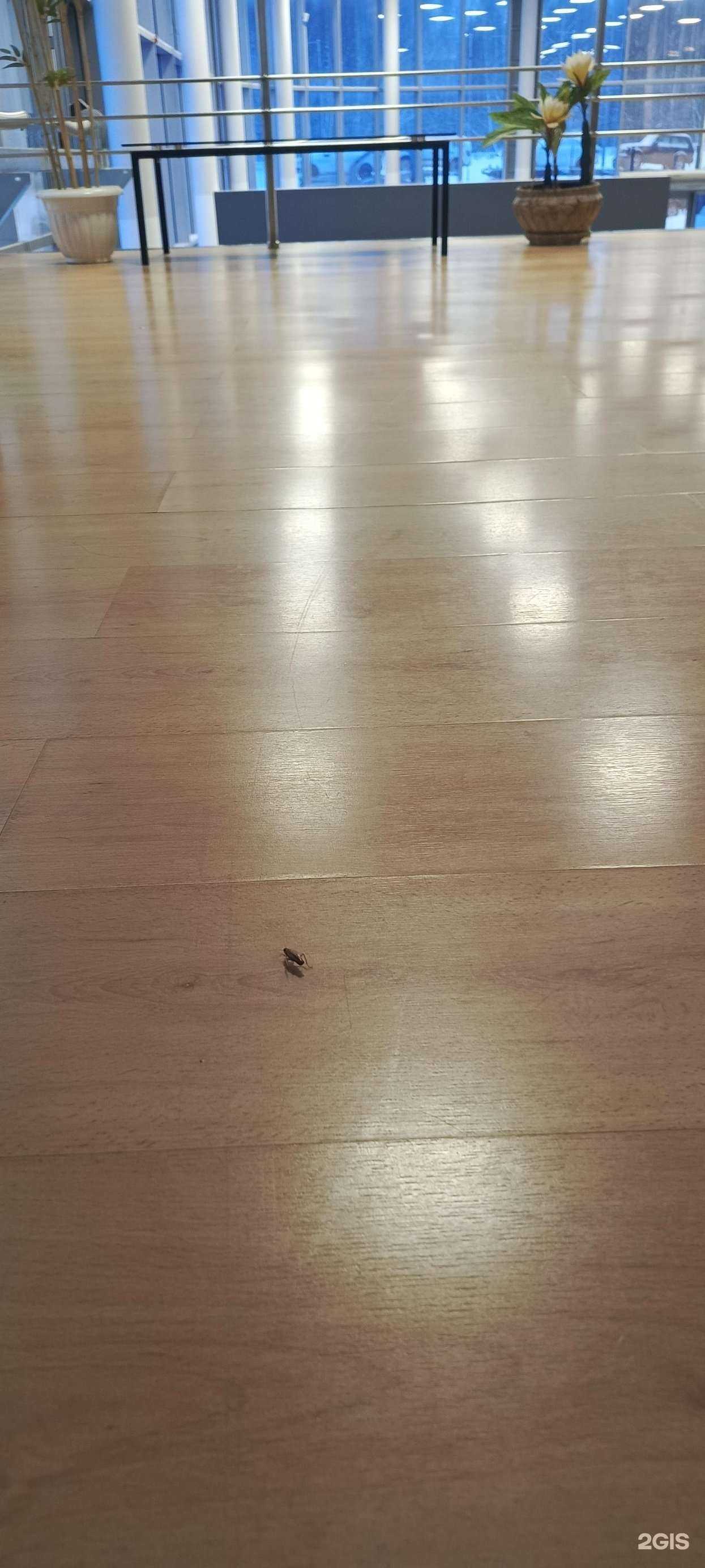 Отзывы на компанию Suzuki Сатурн-Р-Авто в Перми c фото