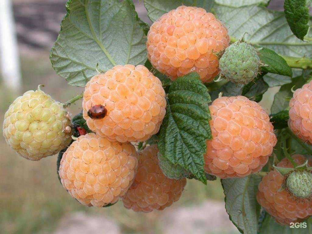 Отзывы на компанию Хлебников в г. Вольск c фото