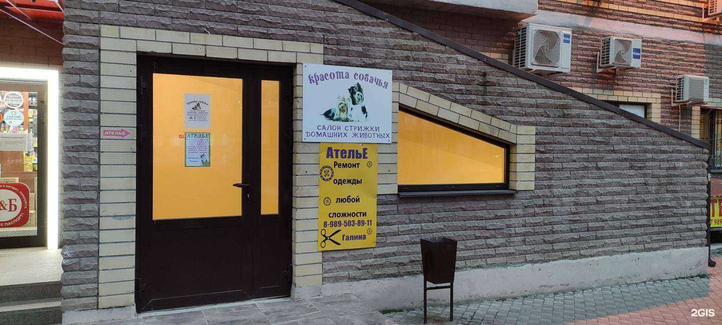 Отзывы на компанию Красота собачья в г. Ростов-на-Дону c фото