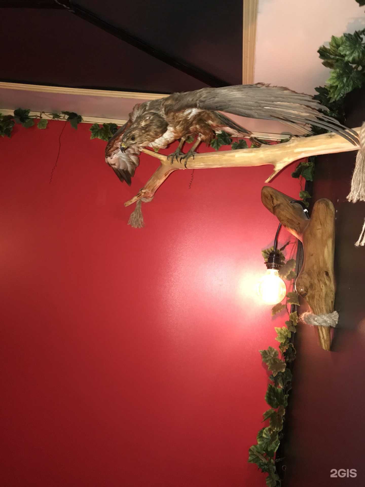 Отзывы на компанию Охотничий Привал в Краснодаре c фото