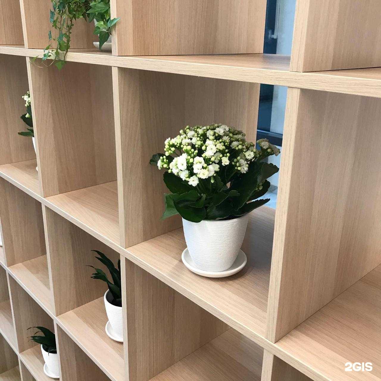 Отзывы на компанию Eco Clinic в г. Екатеринбург c фото