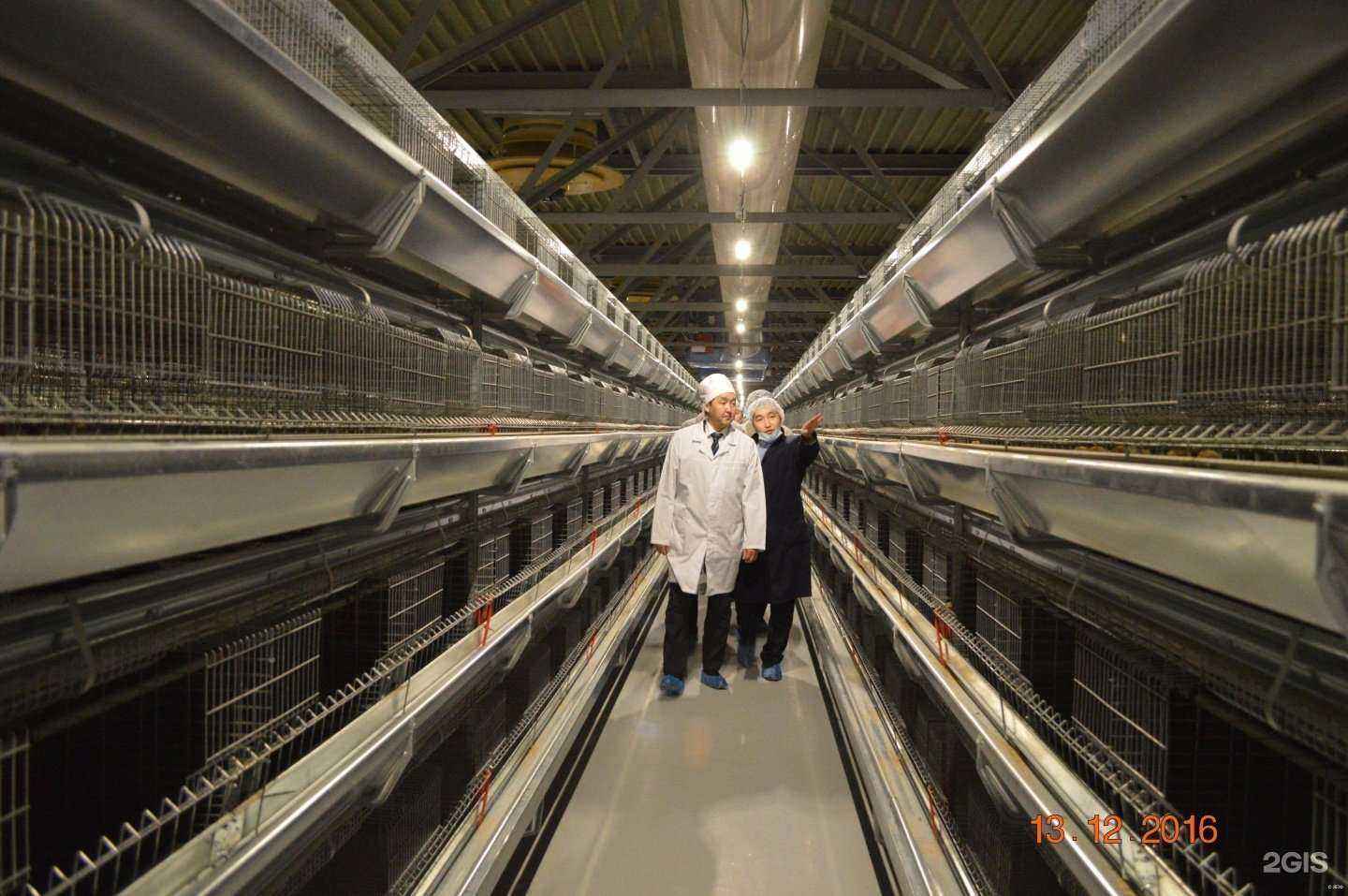 Отзывы на компанию Якутская Птицефабрика в г. Якутск c фото