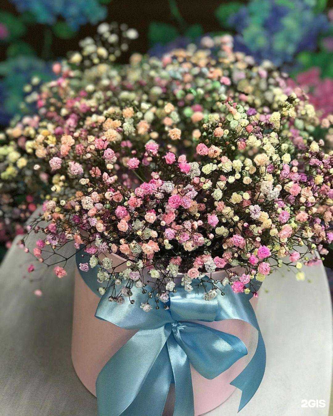 Отзывы на компанию Kupiroz.ru в Геленджике c фото