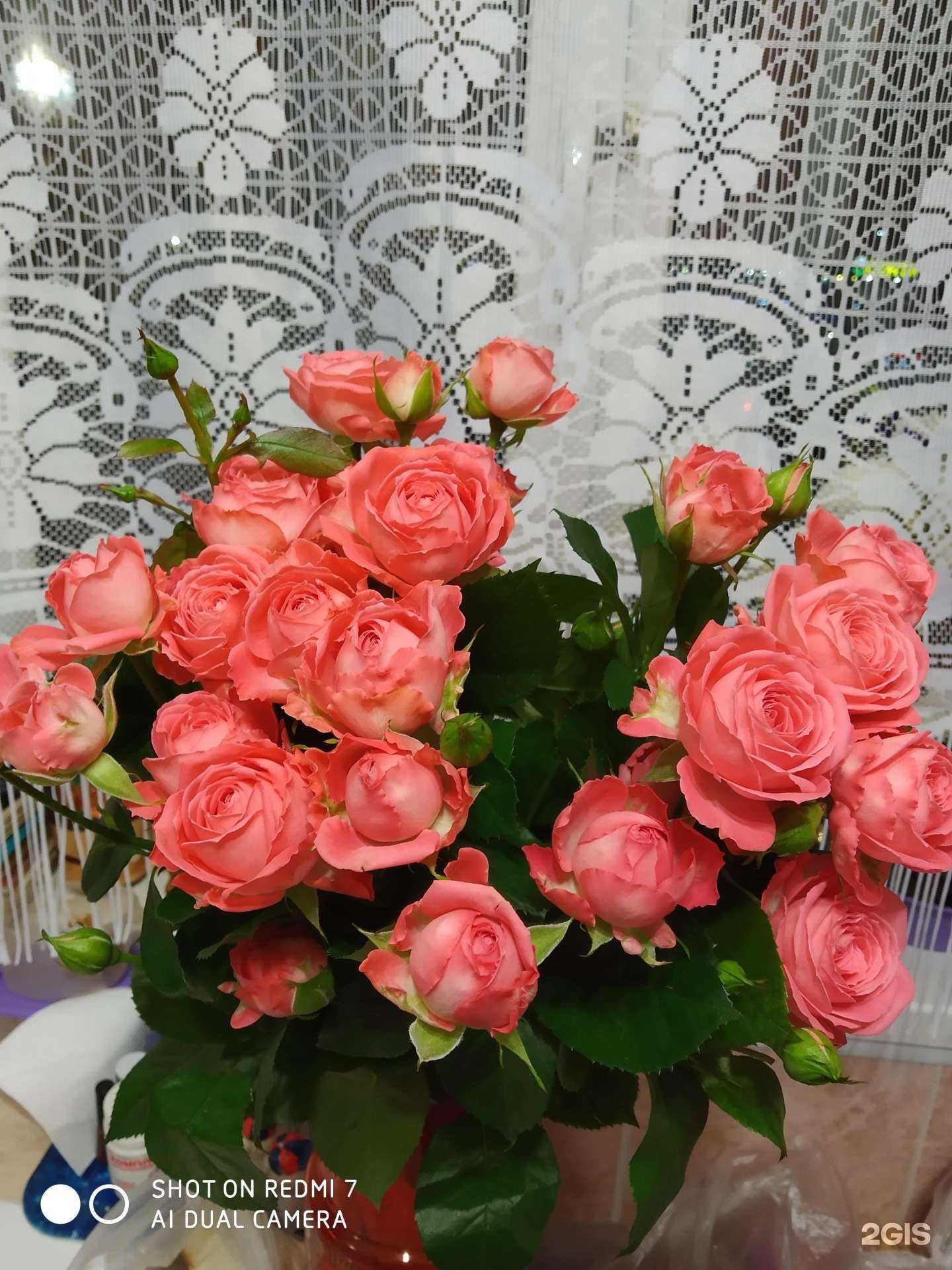 Отзывы на компанию Бархатная роза в Омске c фото