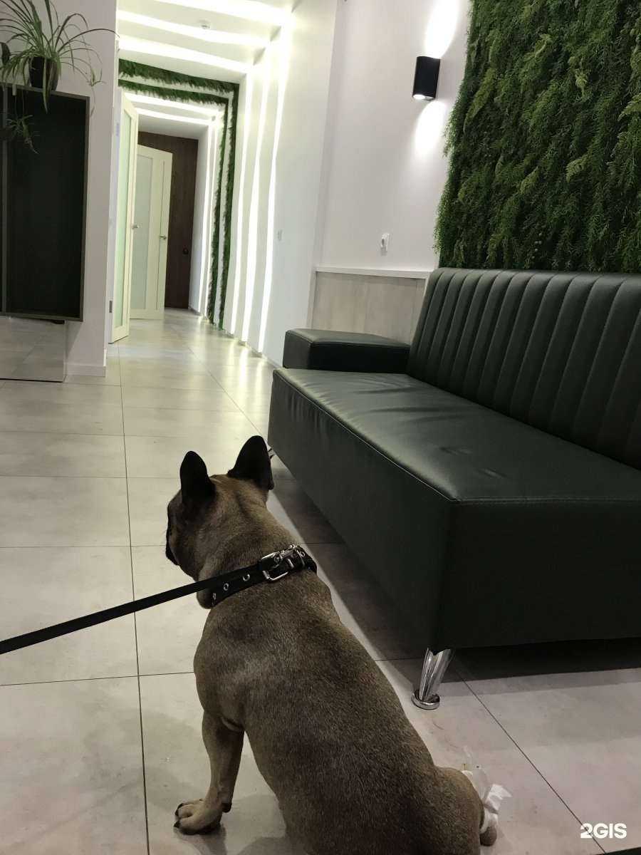 Отзывы на компанию Триумф в Калининграде c фото - фотография 2 из 2