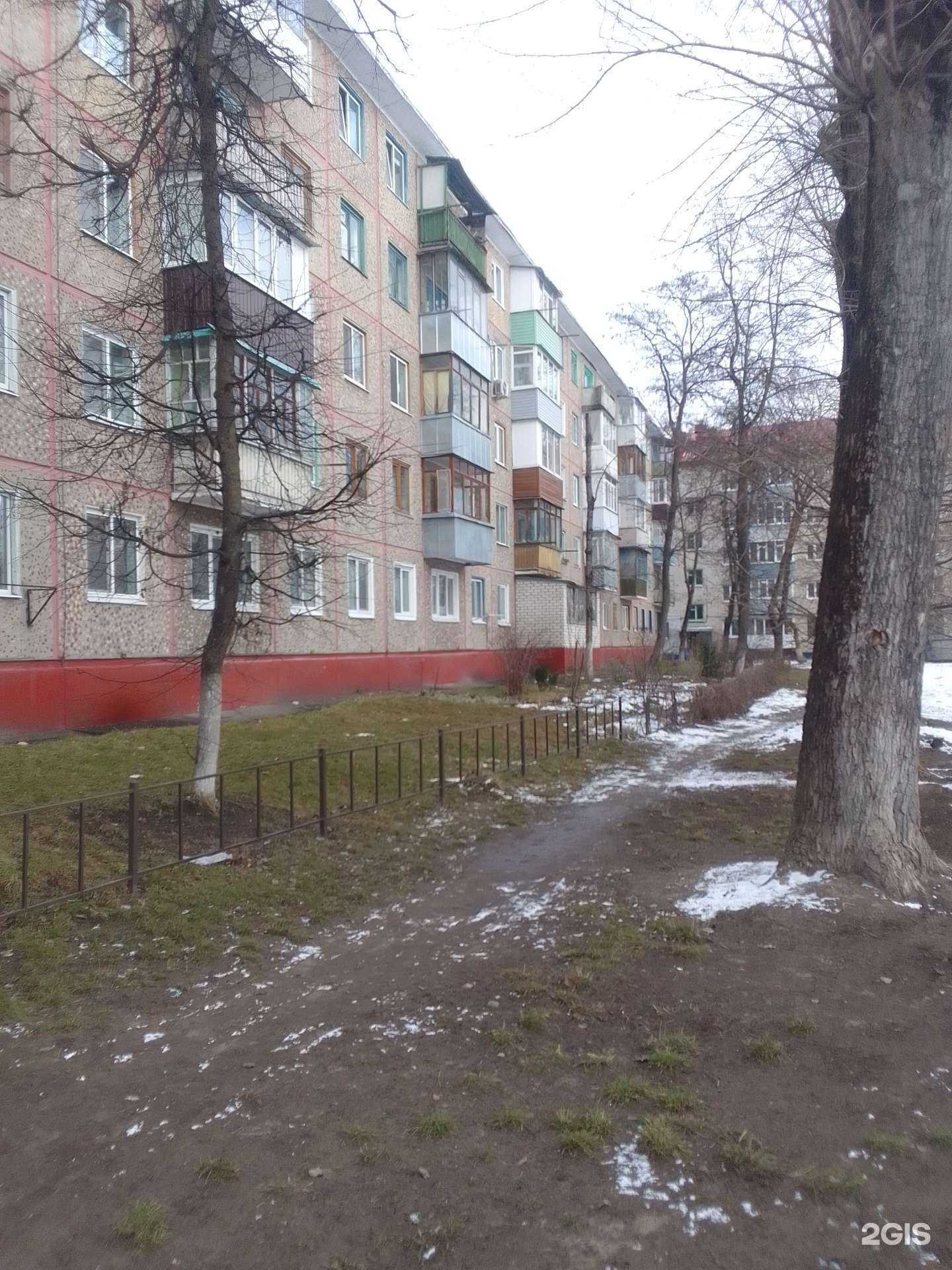 Отзывы на компанию Камелия в Брянске c фото - фотография 2 из 2