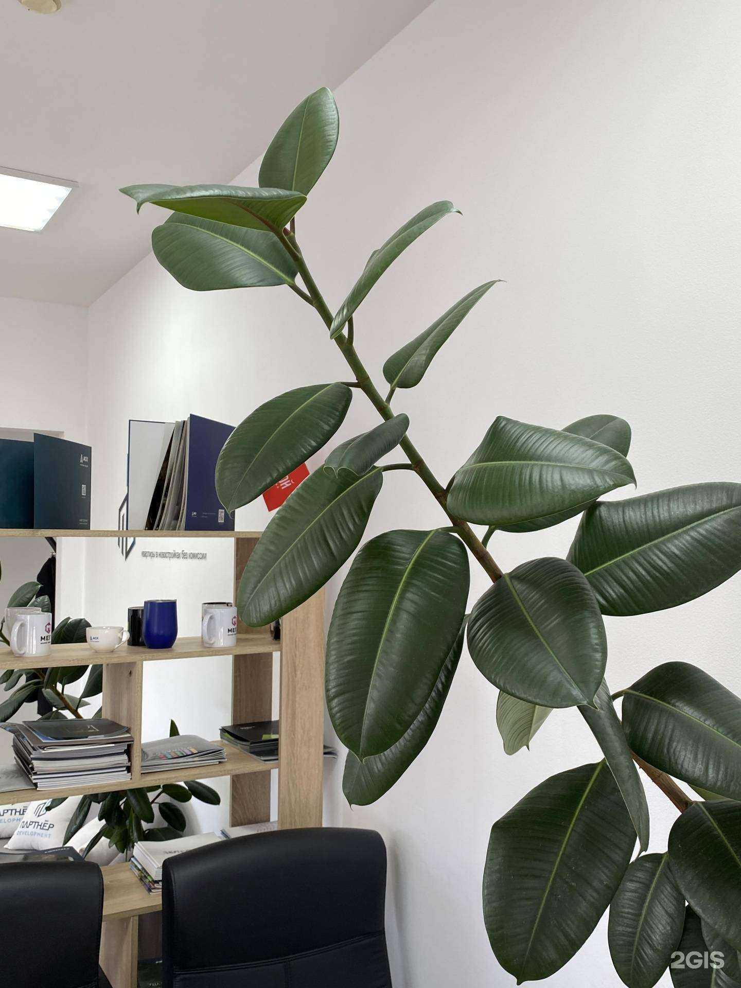 Отзывы на компанию Партнер Development в Краснодаре c фото