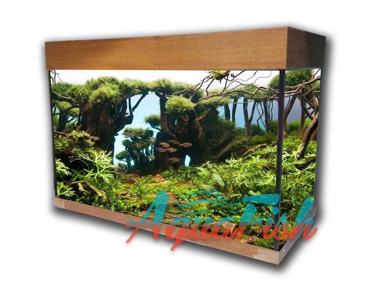 Отзывы на компанию Aqua Fish в г. Воронеж c фото