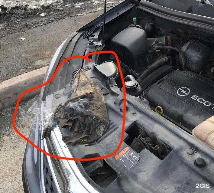 Отзывы на компанию Opelservice в Кемерове c фото