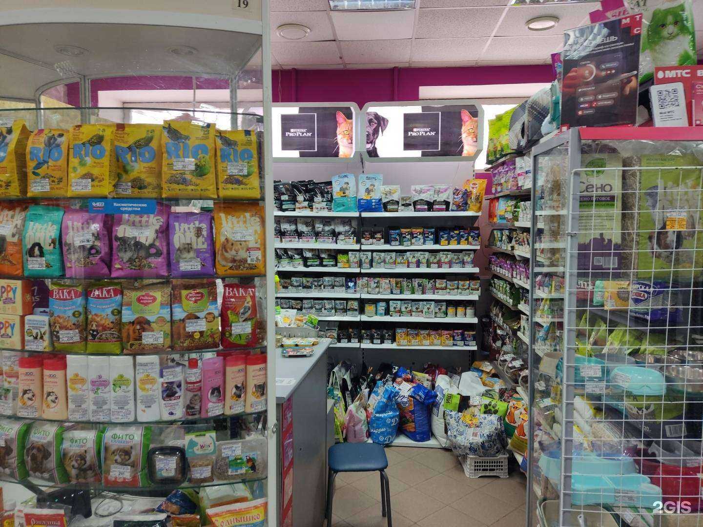 Отзывы на компанию Хвостики в Перми c фото