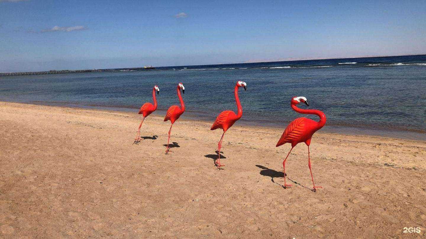 Отзывы на компанию Апельсин в г. Омск c фото