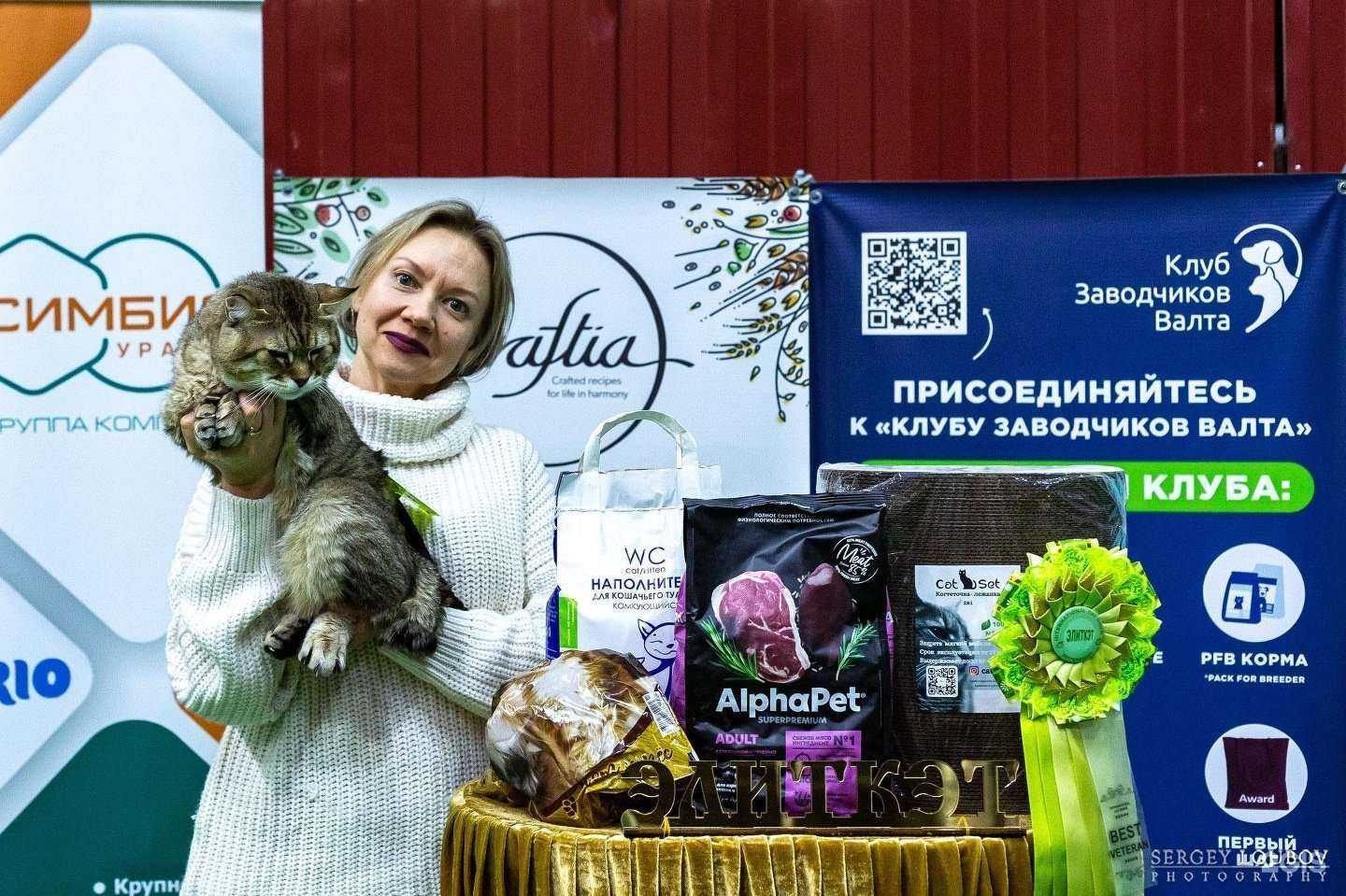 Отзывы на компанию Wc Cat-kitten в Тюмени c фото