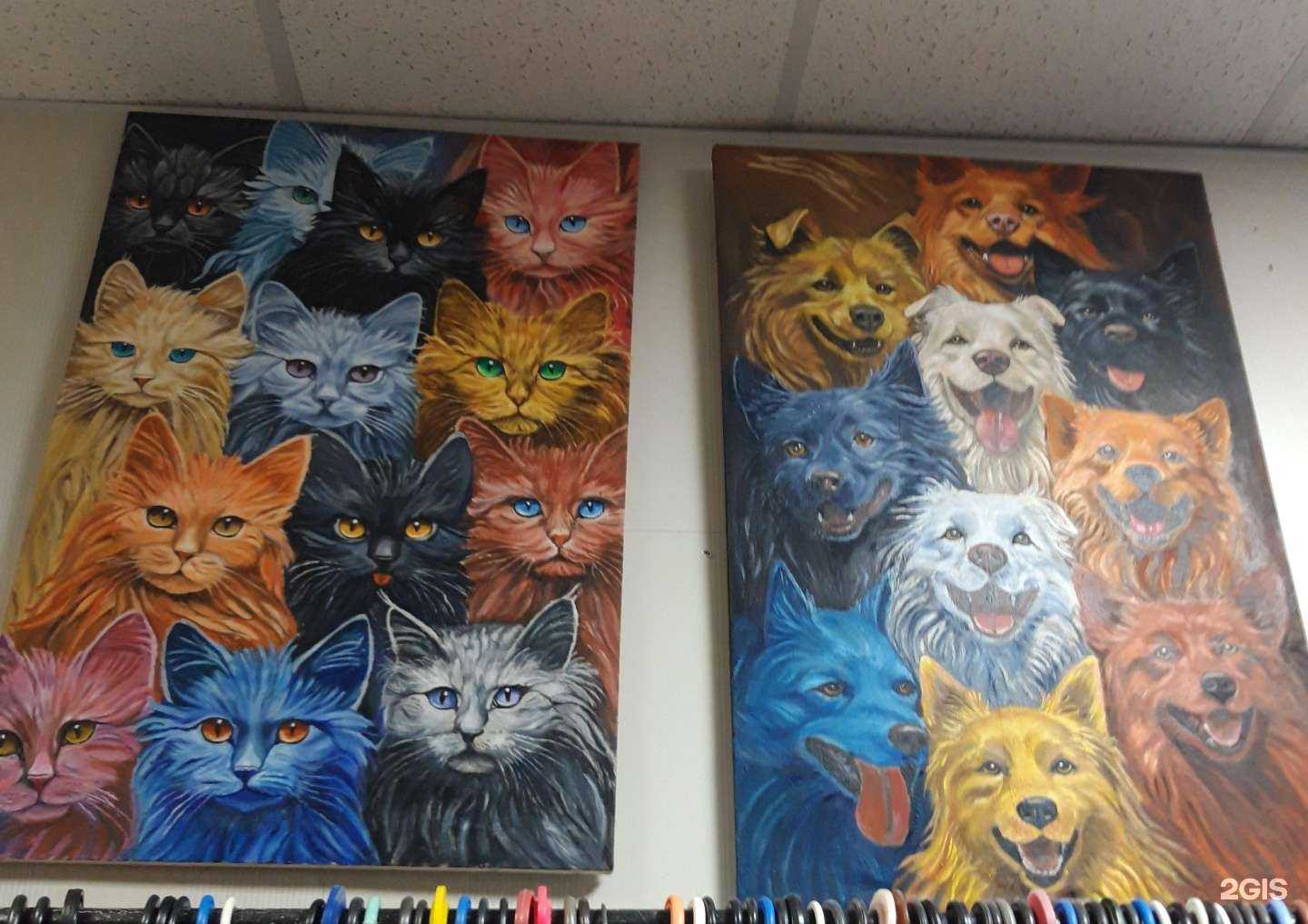 Отзывы на компанию Имидж люкс в Липецке c фото