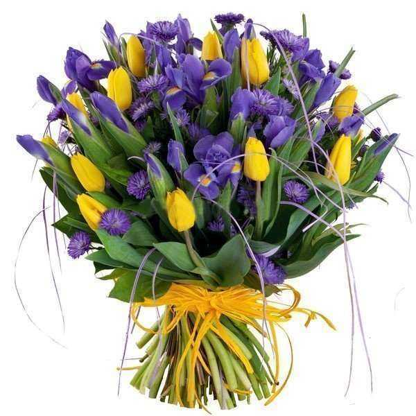 Отзывы на компанию Аврора в Нижнем Новгороде c фото