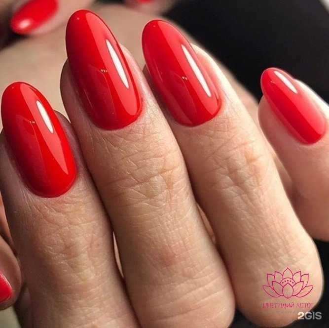 Отзывы на компанию Цветущий лотос в г. Одинцово c фото