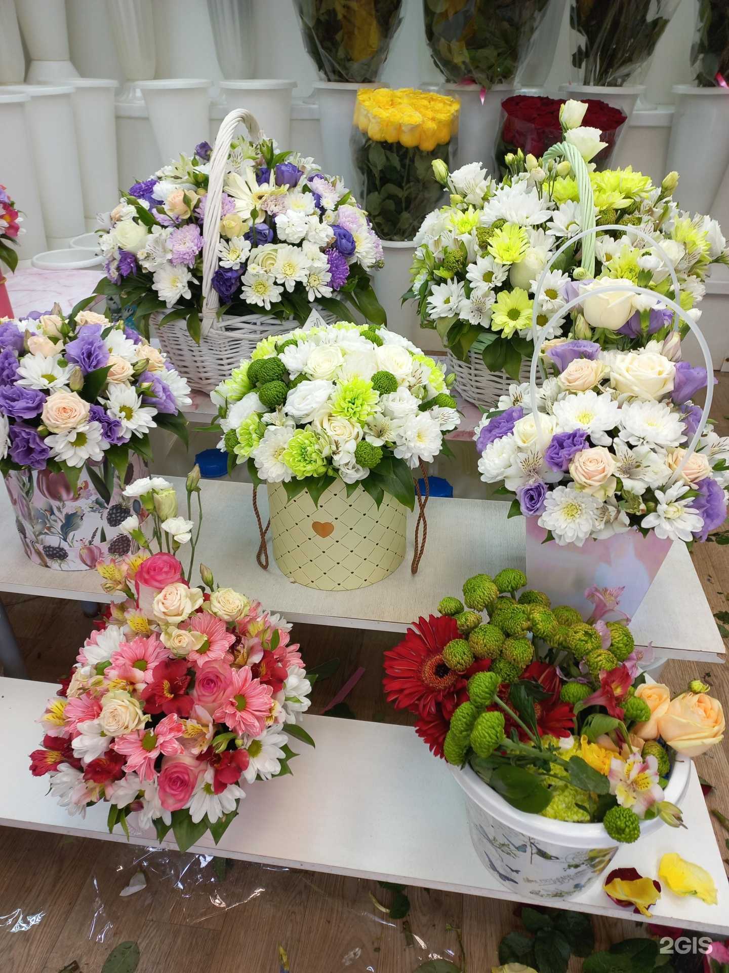 Отзывы на компанию Ромашка в г. Самара c фото