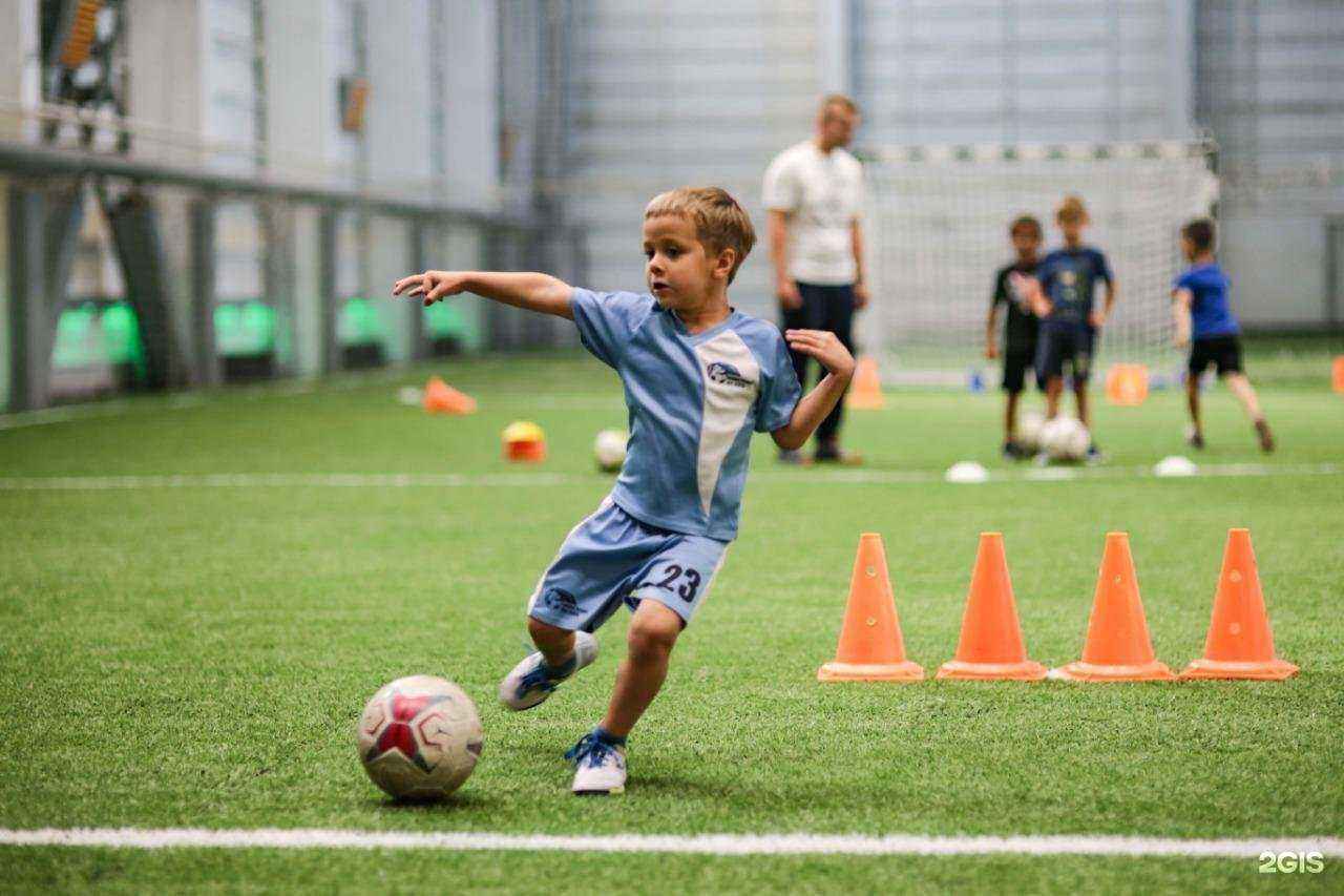 Отзывы на компанию Siberian Bears в г. Новосибирск c фото