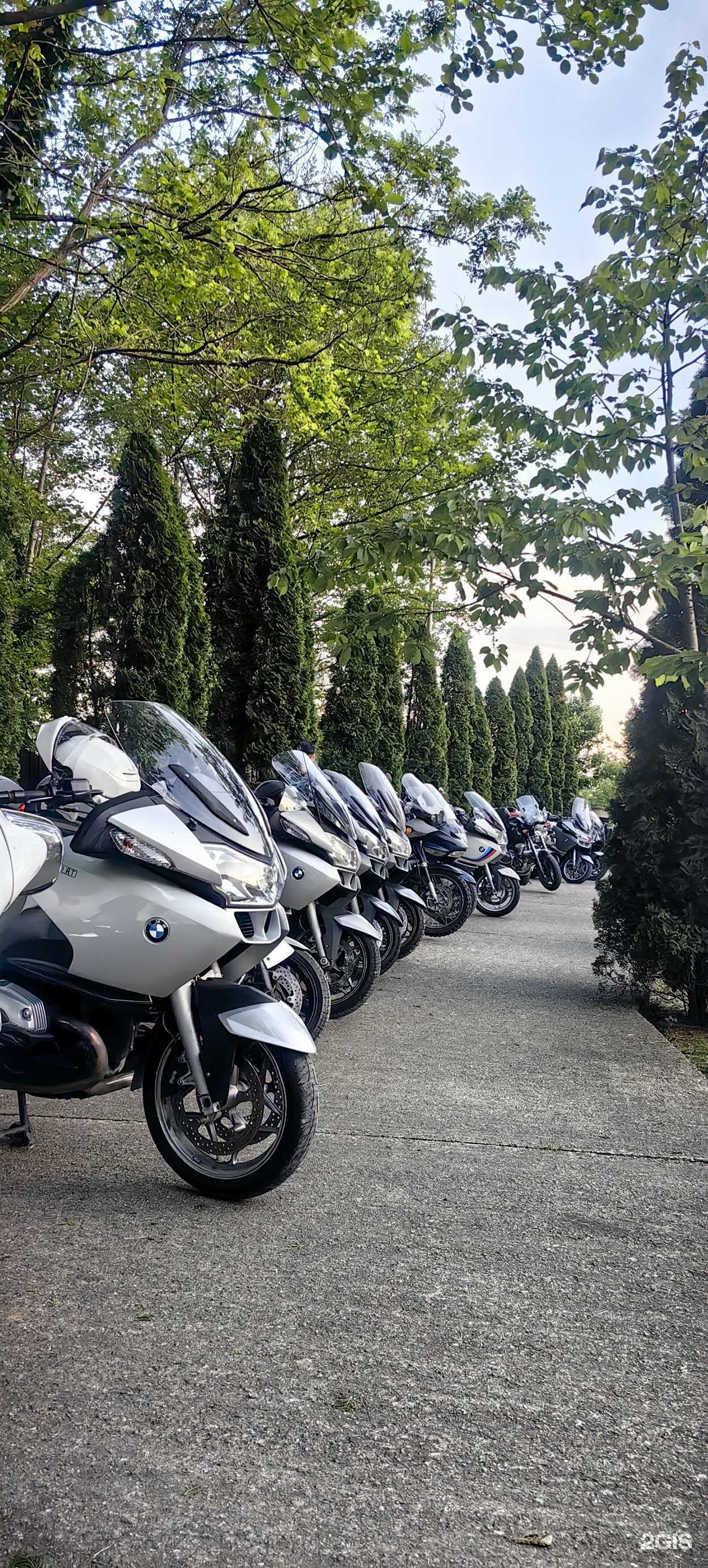 Отзывы на компанию Boxer Club в г. Сочи c фото