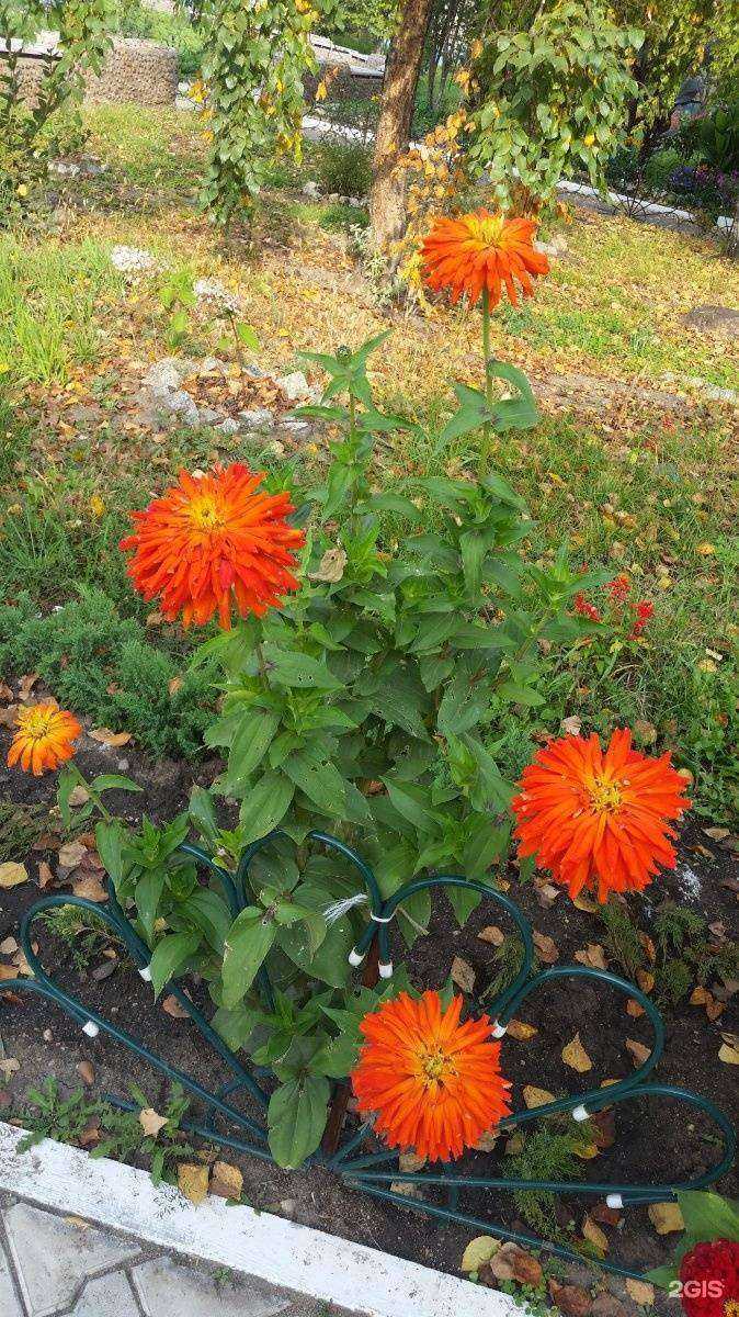 Отзывы на компанию Детская поликлиника №4 в г. Благовещенск c фото