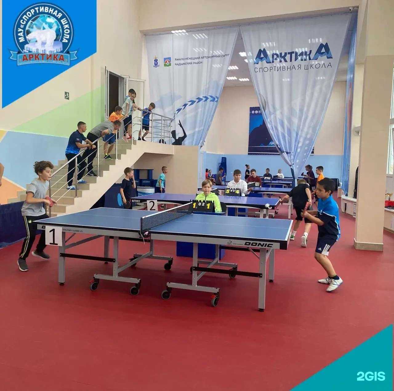 Отзывы на компанию Арктика в г. Надым c фото