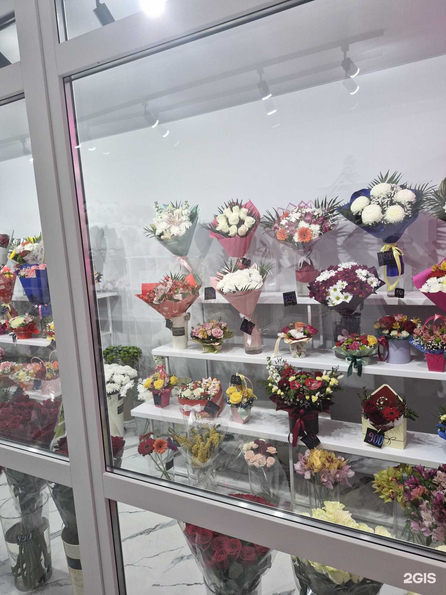 Отзывы на компанию Жасмин в Вольске c фото - фотография 2 из 2