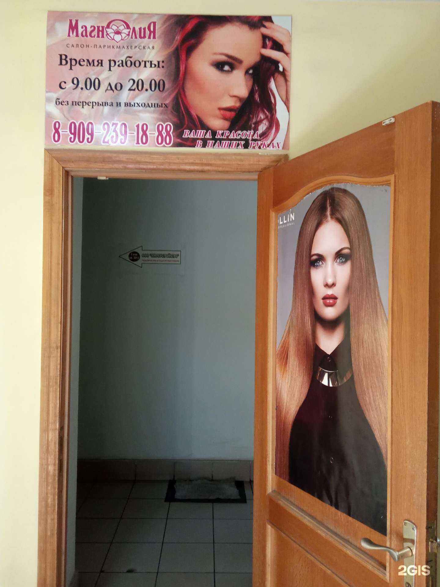 Отзывы на компанию Магнолия в г. Курск c фото