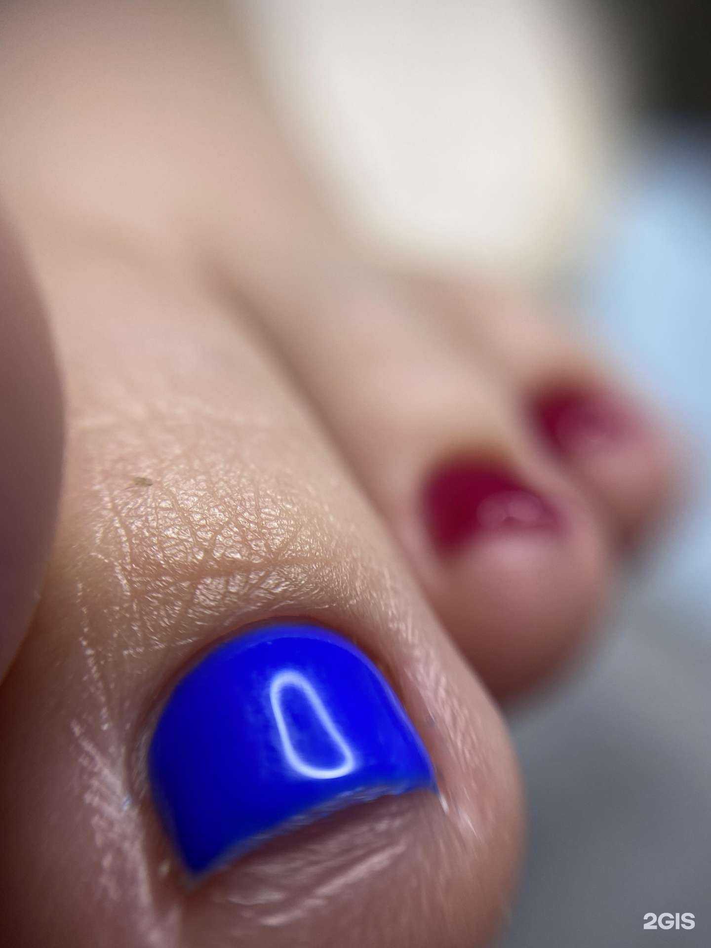 Отзывы на компанию LP studio в Краснодаре c фото