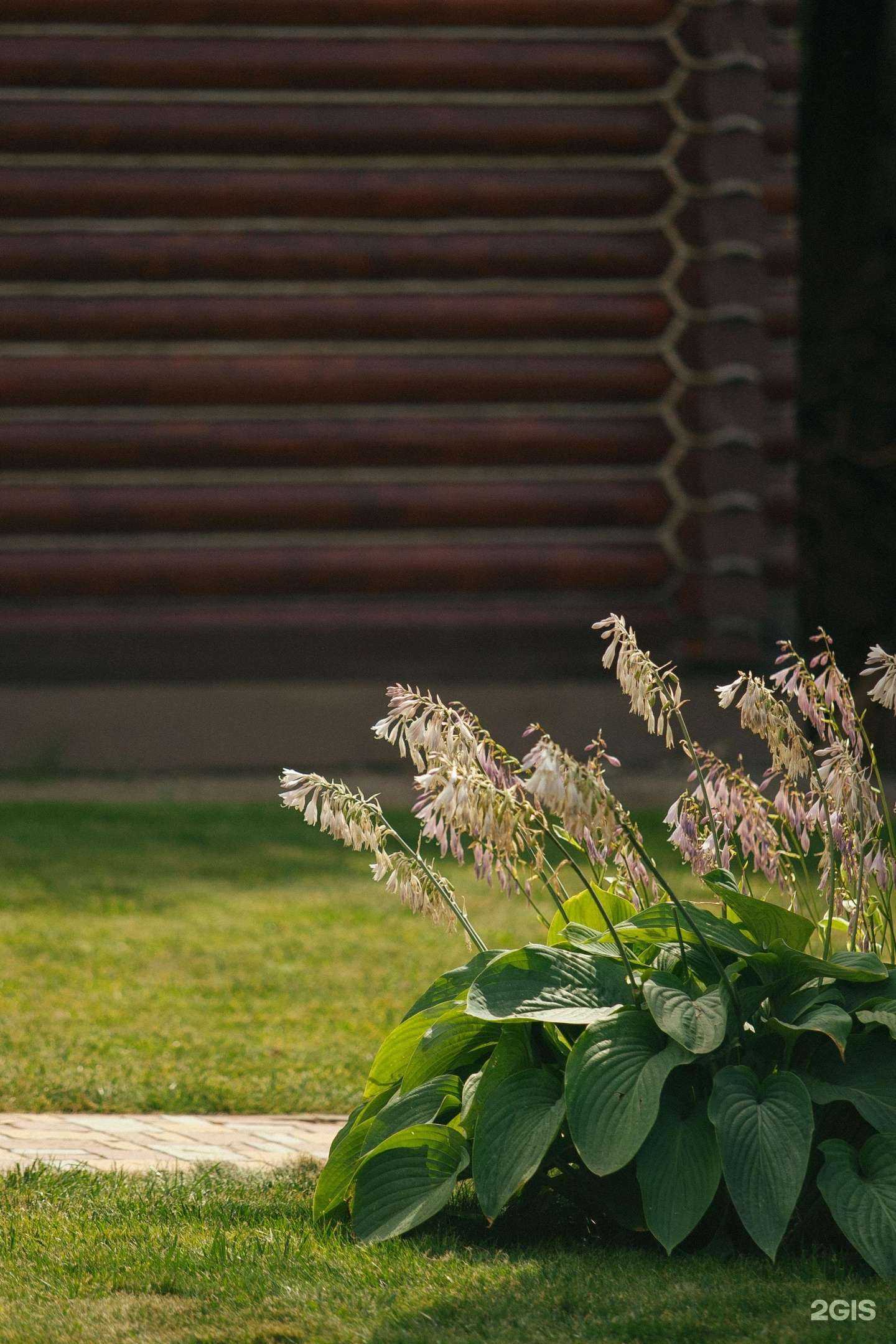 Отзывы на компанию Garden group в Томске c фото